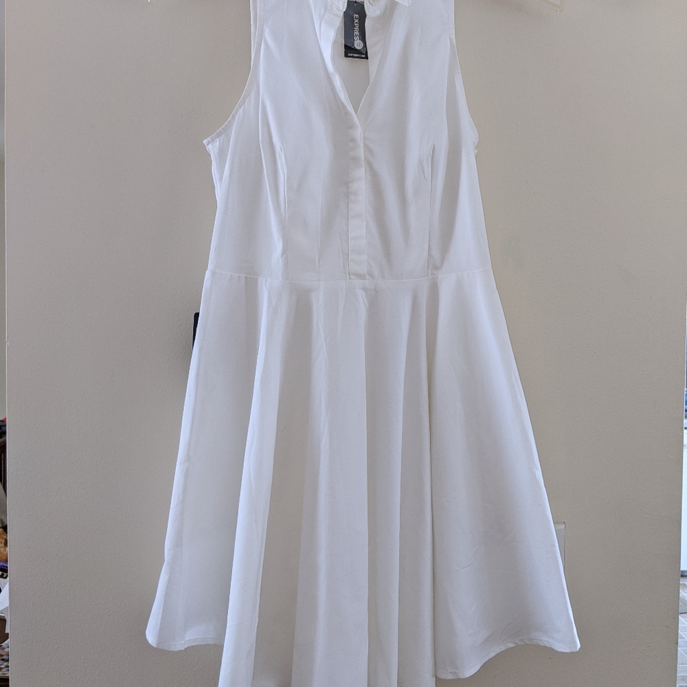 Express sleeveless fit flare shirt dress